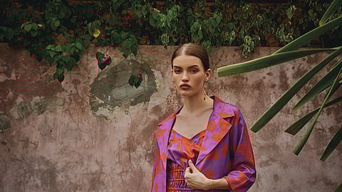 Collection: The Wild Brunch