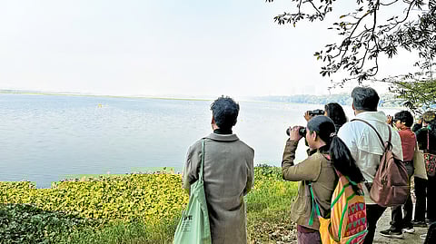 Bird-watching enthusiasts