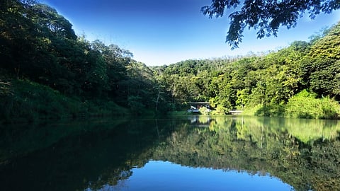 A view of Kaldi Kapee, the café on the property