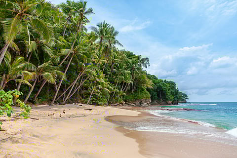 Two of Kerala’s beaches bag Blue Flag certification