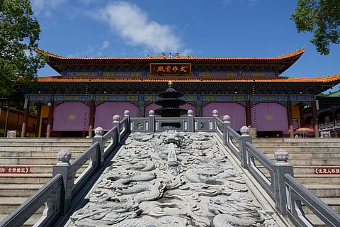 Year of the Snake: Wisdom, transformation and mystery