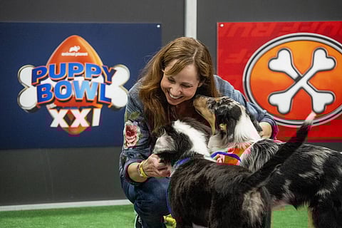 Meet the woman ensuring the puppies shine at ‘Puppy Bowl XXI’