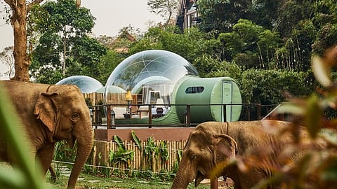 Anantara Golden Triangle Elephant Camp & Resort 