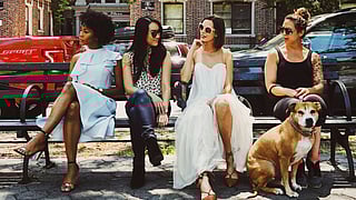 Representative picture