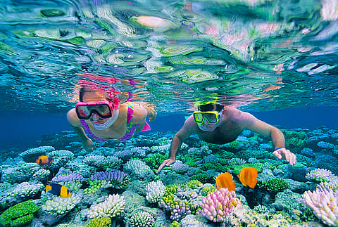 Great Barrier Reef Scuba Diving - Queensland, Australia