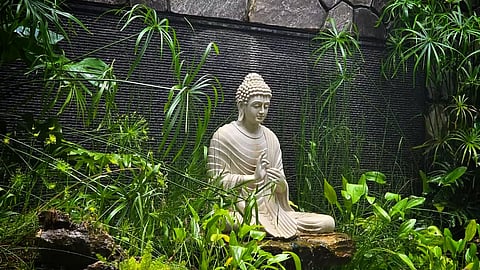 Bonsai and rock art by Deepak John