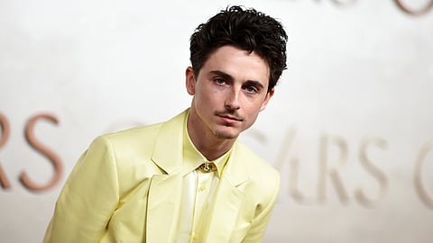 Breaking down Timothée Chalamet's buttery yellow Oscar suit