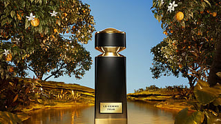 Bvlgari Le Gemme Tygar Eau de Parfum