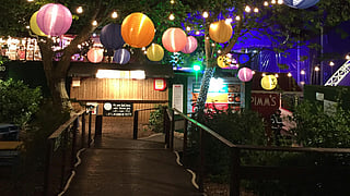 Here's a guide for you to have fun in Kolkata this week!