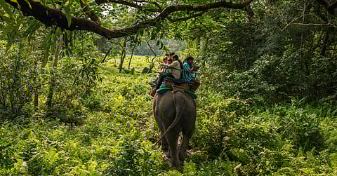 Doors should be high on your radar this summer