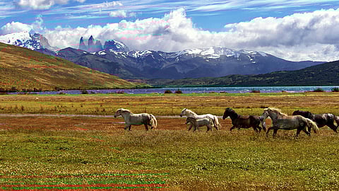 Horseback trails: Five offbeat places to opt for an adventurous sightseeing 