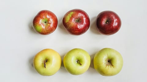 Red vs green apples: Which one is healthier for you?