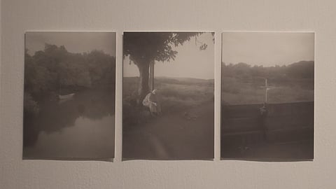 Goan artist Rai shines through her works on coastal wetlands in Kolkata exhibition 