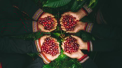 This premium specialty coffee label launches its e-commerce platform