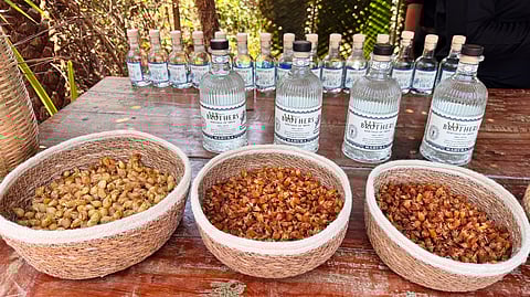 A clear winner in terms of homegrown and traditional beverages