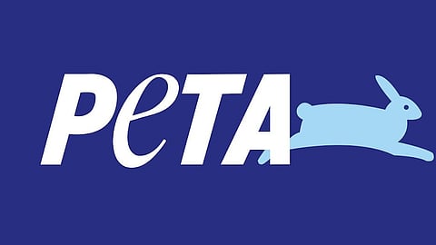 Here's why PETA believes World Milk Day should be rebranded