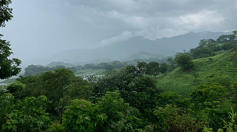 Trekking Trails: How to ensure your safety during monsoon trekking?