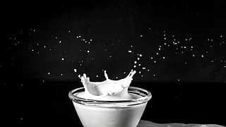 World Milk Day 2025: These quirky Indian milk beverages are making a comeback