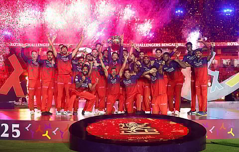 Who owns RCB and how much profit did they make in IPL?
