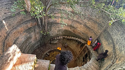 Bhoomi Habba 2025: Celebrate Earth Festival with eco-Friendly activities and sustainability workshops