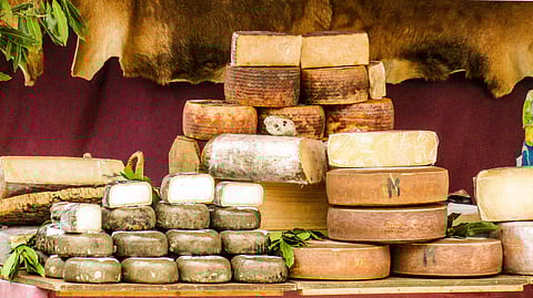 The best cheeses that guarantee the epic cheese pull