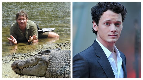 Steve Irwin and Anton Yechlin both died in bizarre accidents