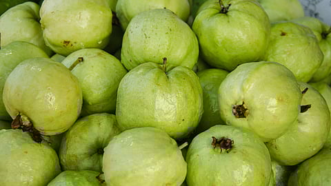 Why you should add guavas to your diet