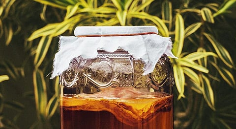 Kombucha can totally change your wellness routine