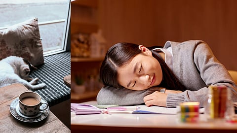 Feeling sluggish? Here’s why a ‘nappuccino’ might be the perfect fix