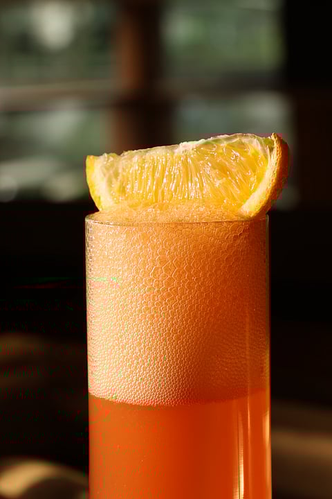 Garibaldi
