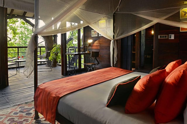 If treehouses still fascinate you, this is the right place for you.