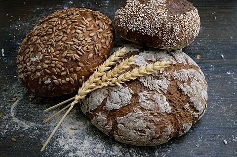 What is the healthiest sandwich bread?