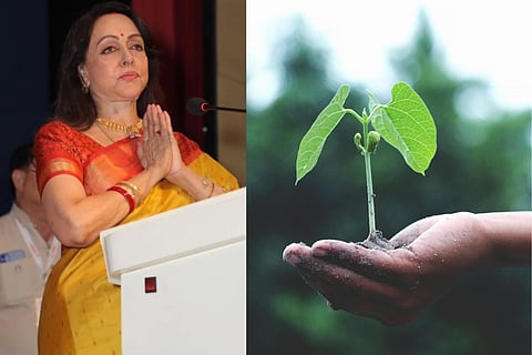 Brijbhoomi to see afforestation and green cover revival 