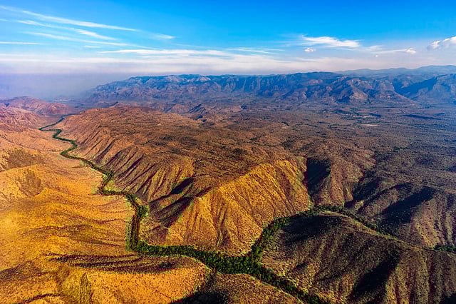 A still from Nilgiris: A Shared Wilderness by Sandesh Kadur