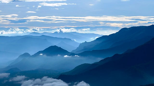 A still from Nilgiris: A Shared Wilderness by Sandesh Kadur