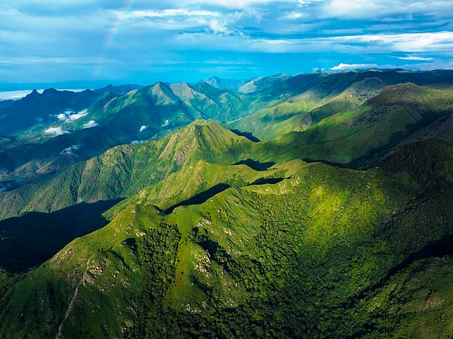 A still from Nilgiris: A Shared Wilderness by Sandesh Kadur