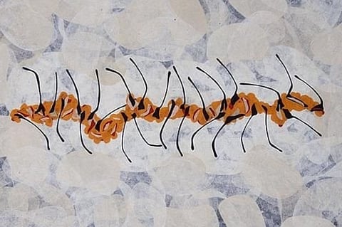 Rahul Inamdar's solo show in on at Threshold Gallery, New Delhi 