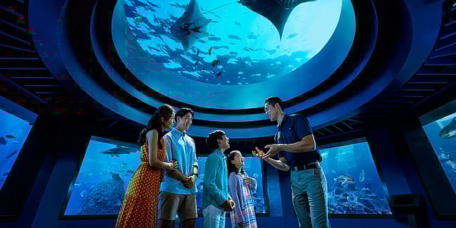 Changi Airport announces free trips to  Sentosa Island for transit passengers