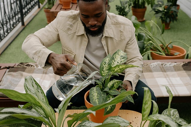 Planting as a part of Grandmacore in 2025