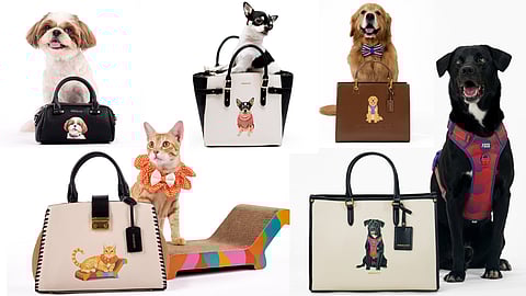 Miraggio launches limited-edition pet portrait handbags with Furever Yours