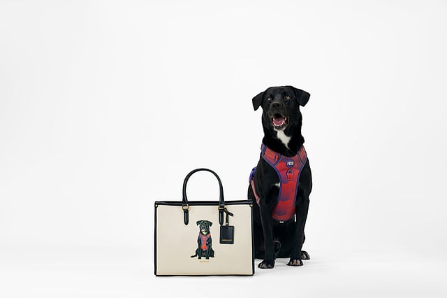 Miraggio launches limited-edition pet portrait handbags with Furever Yours