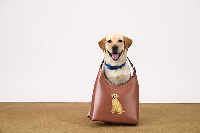 Miraggio launches limited-edition pet portrait handbags with Furever Yours