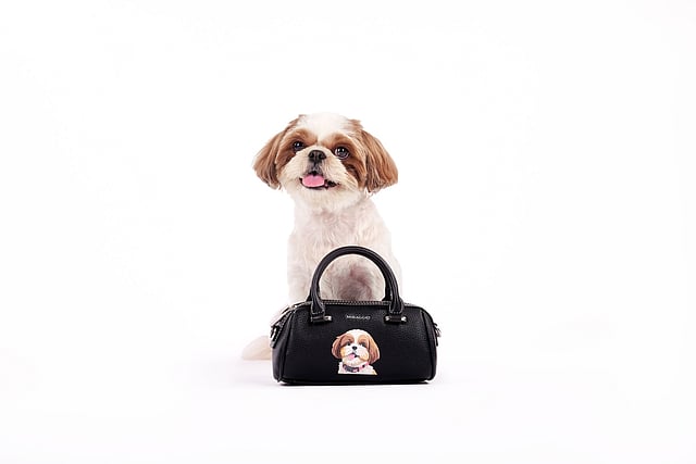Miraggio launches limited-edition pet portrait handbags with Furever Yours
