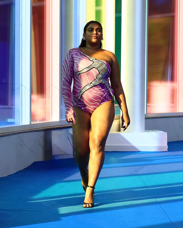 Shivan & Narresh reimagine couture with Matisse-inspired Series V