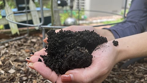 How to replant wisely for a healthier, thriving garden