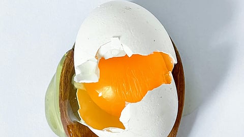Are raw eggs good for consumption? 