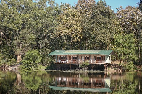 Jungle Camp resorts' Rukkad and Kanha properties offer immersive wildlife holidays, rounded by cultural experiences
