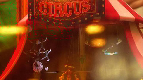 History has been witness to some great circus performances