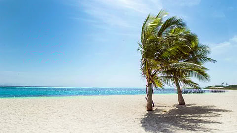 7 common beach injuries and how to avoid them?