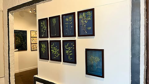 Art Exhibition: The Past of Plants